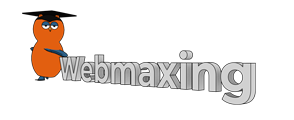Webmaxing Logo 